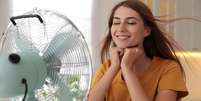 Ar-condicionados e ventiladores ajudam a driblar o calor no verão -  Foto: Shutterstock / Alto Astral