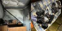 Cachorro causa incêndio ao ligar secador de cabelo em casa na Inglaterra  Foto: Twitter/@ECFRS / Estadão