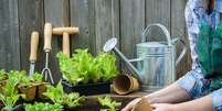 Já imaginou a praticidade que seria ter uma horta na cozinha de casa? – Foto: Shutterstock  Foto: Guia da Cozinha