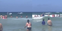 Aparição aconteceu na Praia dos Ingleses  Foto: @praiadosinglesesfloripa / Instagram