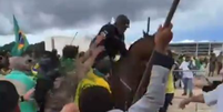 Cavalo agredido por bolsonaristas durante invasão a Brasília apresenta inchaços   Foto: Reprodução