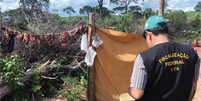 Do total de resgates em 2022, 35 eram crianças e adolescentes  Foto: Acervo/MPT Mato Grosso do Sul