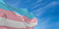 Bandeira trans  Foto: Profissas