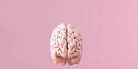 Alimentação adequada e exercícios físicos contribuem para o bom funcionamento do cérebro Foto: Shutterstock / Portal EdiCase