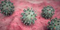 Marburg: OMS confirma surto de um dos vírus mais letais do mundo -  Foto: Shutterstock / Saúde em Dia
