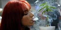 V&aacute;rios pa&iacute;ses da Am&eacute;rica Latina avan&ccedil;aram na legaliza&ccedil;&atilde;o parcial do cultivo  Foto: AFP / BBC News Brasil