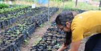 Projeto Escola de Empreendedorismo das Mulheres do Alto Xingu  Foto: Divulgação
