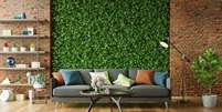 Traga o verde para dentro de casa através de um jardim vertical -  Foto: Shutterstock / Alto Astral