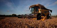 Foto ilustrativa de uma colheitadeira em um campo de trigo em Chateau-Thebaud, Fran&ccedil;a
09/07/2020
REUTERS/Stephane Mahe  Foto: Reuters