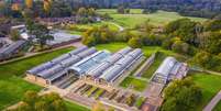 O Royal Botanic Gardens, Kew administra o maior projeto de conservação ex-situ do mundo, o Millennium Seed Bank, em Wakehurst, em Sussex  Foto: RBG KEW