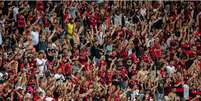 Torcida do Fla volta a comemorar uma vitória do time  Foto: Reprodução