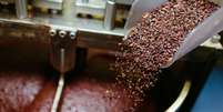 Os grãos de cacau devem ser moídos para formar a massa de cacau  Foto: Guia da Cozinha