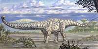 Ainda restam dúvidas sobre como as proporções bizarras do Mamenchisaurus sinocanadorum permitiram que ele funcionasse diariamente.  Foto: Wikimedia Commons