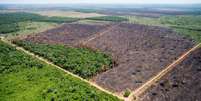 Vista área de trecho da Mata Atlântica desmatada após incêndios.  Foto: Tiago Queiroz/Estadão / Estadão