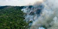 Preservar a Amazônia é uma questão de saúde pública, defendem cientistas  Foto: Getty Images / BBC News Brasil