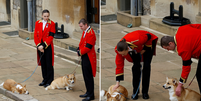 Sandy e Muick na entrada do castelo de Windsor durante o funeral de Elizabeth II em setembro de 2022  Foto: Montagem/Reuters