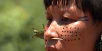 Desde o início da Operação Libertação, em 20 de janeiro, foram destruídos 272 acampamentos de garimpeiros ilegais na Terra Yanomami  Foto: EBC/TV Brasil