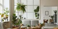 Plantas na decoração oferecem conforto e bem-estar  Foto: Followtheflow | Shutterstock / Portal EdiCase