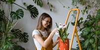 Cuidar das plantas corretamente é fundamental para mantê-las saudáveis  Foto: DimaBerlin | Shutterstock / Portal EdiCase