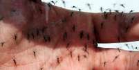 São Paulo confirmou a primeira morte por dengue na cidade este ano.  Foto: SERGIO CASTRO/ESTADÃO / Estadão