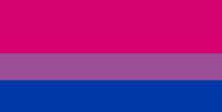 Bandeira bissexual  Foto: Wikimedia