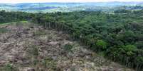 Vista aérea de trecho desmatado no Estado do Pará
21/01/2023
REUTERS/Ueslei Marcelino  Foto: Reuters