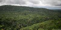 A Floresta Amazônica na região de Guaviare, onde ocorreu o acidente com o avião monomotor  Foto: DW / Deutsche Welle