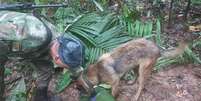 Cães farejadores encontraram uma tesoura que as equipes de busca acham que sugere que as crianças sobreviveram  Foto: Reuters / BBC News Brasil