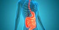 Saúde e digestão: saiba como prevenir as doenças do sistema digestivo -  Foto: Shutterstock / Saúde em Dia