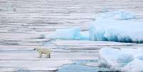 Uma das consequências do efeito estufa é o derretimento de geleiras  Foto: zanskar / iStock