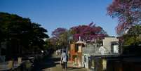 Imagem mostra homem de costas caminhando em cemitério.  Foto: Ravena Rosa/Agência Brasil: / Alma Preta