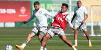 Gabriel Menino pode ser uma opção para jogar mais recuado   Foto: Cesar Greco/Palmeiras/by Canon / Esporte News Mundo