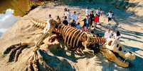 Fóssil gigante de um tiranossauro-rex no Sítio do Carroção, em Tatuí (SP)  Foto: Foto/Divulgação / Bebe.com