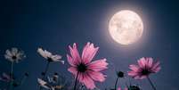 Aproveite os poderes da Lua Cheia -  Foto: Shutterstock / João Bidu