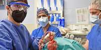 Médicos durante cirurgia de transplante de coração de porco  Foto: University of Maryland School of Medicine/Divulgação
