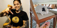 Débora Podda é pet sitter especializada em gatos, mas também já atendeu bichos como cobra e coelho Foto: Reprodução/Instagram/@debora_petsitter