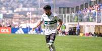 Coritiba tem cinco pontos como visitante   Foto: Divulga&ccedil;&atilde;o/Coritiba / Esporte News Mundo
