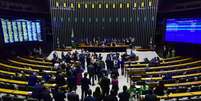 Plenário da Câmara dos Deputados  Foto: Divulgação/Câmara dos Deputados