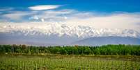 Mendoza leva a fama de produzir o melhor Malbec do mundo  Foto: Hernan E. Schmidt | Shutterstock / Portal EdiCase