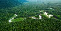 Descubra quais são os ecossistemas brasileiros  Foto: FG Trade / iStock