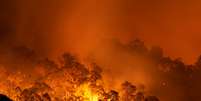 Incêndio Florestal  Foto: Foto:Istock