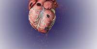 Microplásticos no coração são encontrados  Foto: Imagem: Dr_Microbe