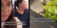 Amigas de Goiânia encontram cobra enquanto lavavam alface  Foto: Reprodução/TikTok/@marianna.lacerda