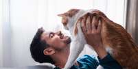 O som do ronronar de um gato demonstra contentamento e satisfação  Foto: Magui RF | Shutterstock / Portal EdiCase