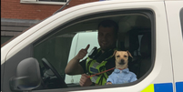 Um simpático vira-lata caramelo vestindo camisa azul foi fotografado em carro policial em Black Country, na Inglaterra, na sexta-feira, 18  Foto: Reprodução/Redes Sociais 