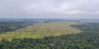 Desmatamento destrói até 92% no entorno de terras indígenas na Amazônia, segundo levantamento  Foto: Divulgação/Policia Federal / Divulgação/Policia Federal