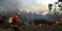 Queimada em Brasília; no último ano, o Cerrado bateu recorde de desmatamento  Foto: WILTON JUNIOR/ESTADÃO / Estadão