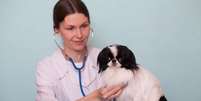 Problemas cardiovasculares nos pets podem ser prevenidos com cuidados simples  Foto: Serova_Ekaterina | Shutterstock / Portal EdiCase