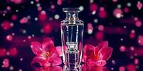 Veja os riscos do perfume íntimo - Shutterstock  Foto: Alto Astral