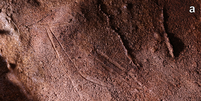 No topo, a representação trilinear de uma corça (fêmea de veado-vermelho) do Mediterrâneo; abaixo, duas cabeças de cavalo criadas através de raspagem (Imagem: Ruiz-Redondo et al./Antiquity)  Foto: Canaltech